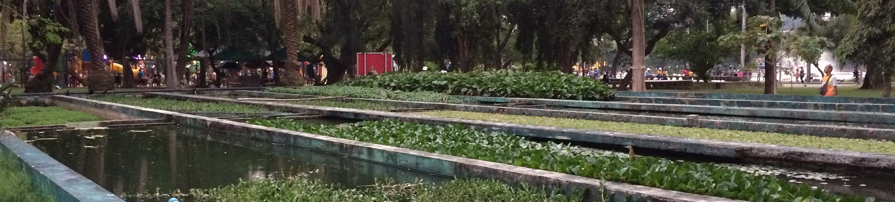 Water and plants